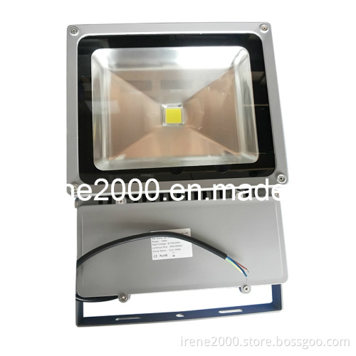 100W Outdoor LED Flood Light Waterproof Tg100